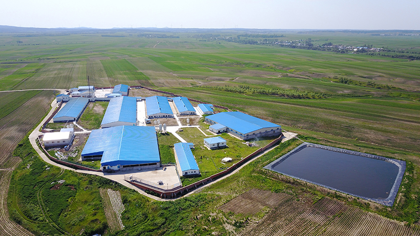 1655865316527483.jpg 巴彥一場.jpg