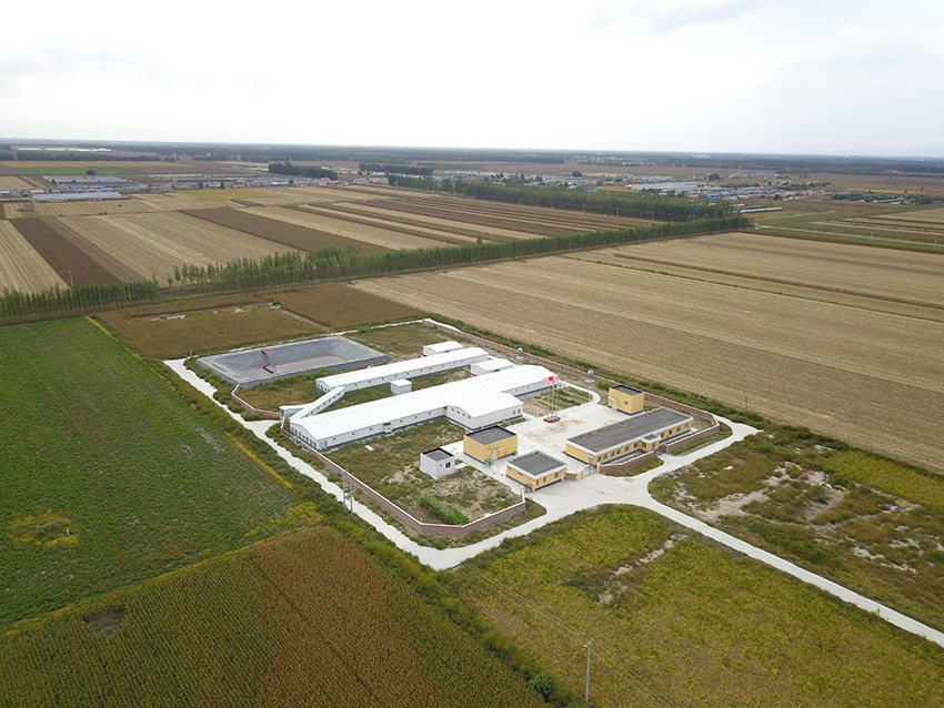 1655865347113526.jpg 北鎮(zhèn)公豬站.JPG