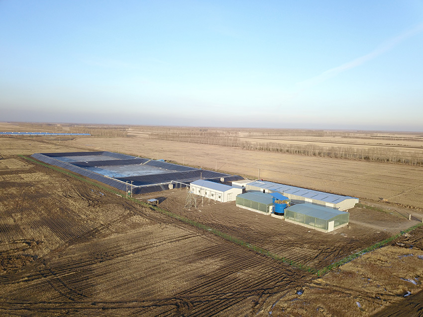 1655865483101481.jpg 富裕有機(jī)肥加工場.JPG