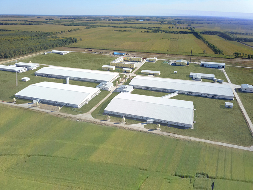 1655865495789116.jpg 龍江一場.jpg