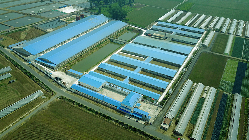 1655865539793204.jpg 沈陽一場.JPG