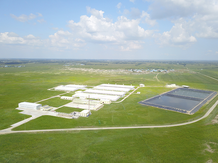 1655865565259094.jpg 肇州商品場.JPG